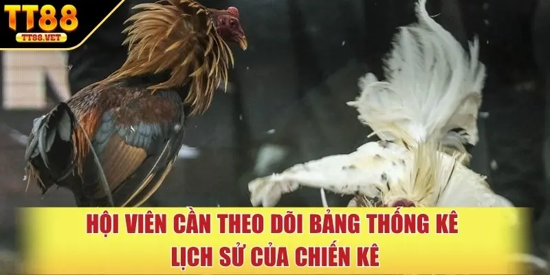 Hội viên cần theo dõi bảng thống kê lịch sử của chiến kê