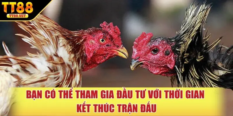 Bạn có thể tham gia đầu tư với thời gian kế thúc trận đấu