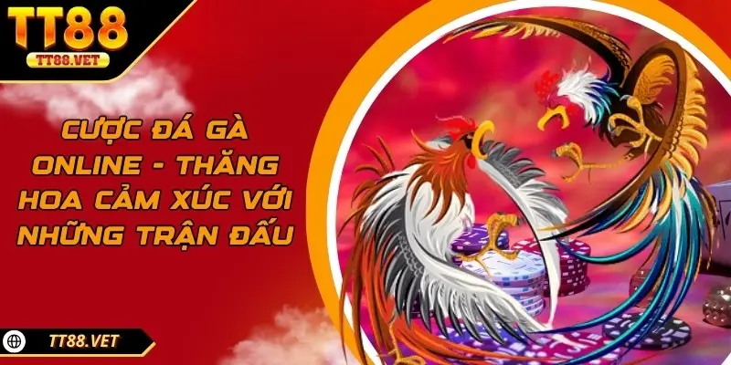 Cược đá gà online