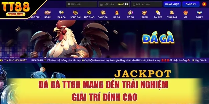 Đá gà TT88 mang đến trải nghiệm giải trí đỉnh cao