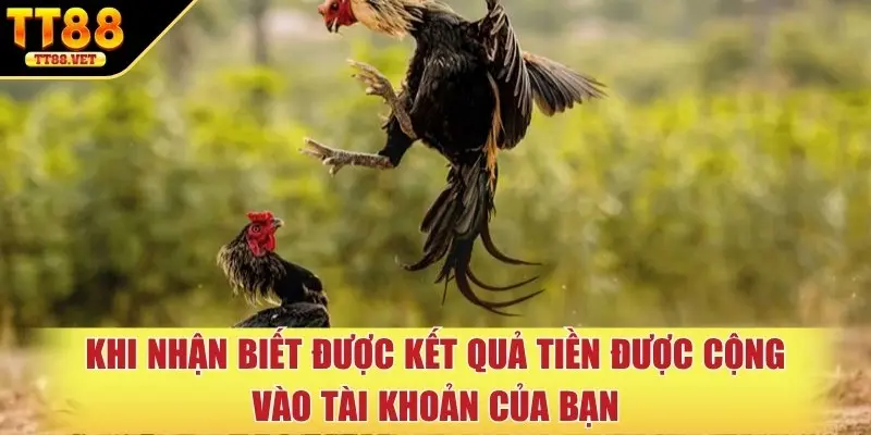 Khi nhận biết được kết quả tiền được cộng vào tài khoản của bạn