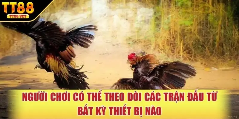 Người chơi có thể theo dõi các trận đấu từ bất kỳ thiết bị nào