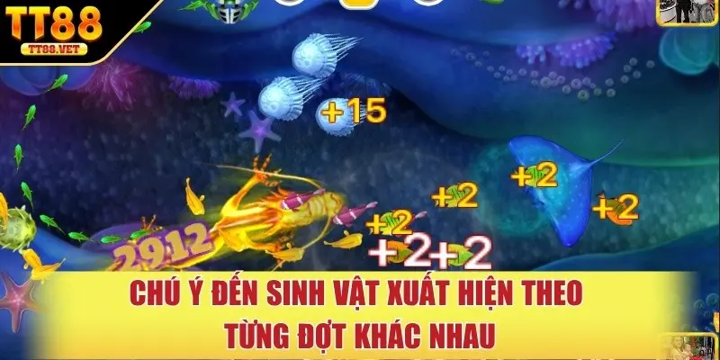 Chú ý đến sinh vật xuất hiện theo từng đợt khác nhau
