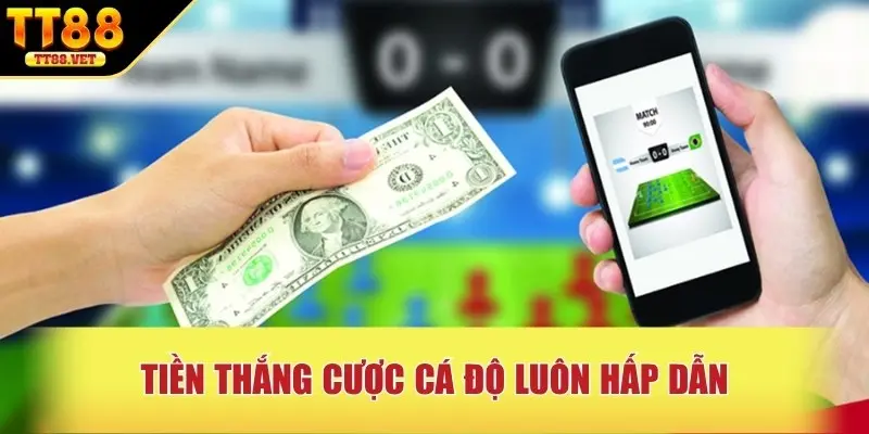 Tiền thắng cược cá độ luôn hấp dẫn