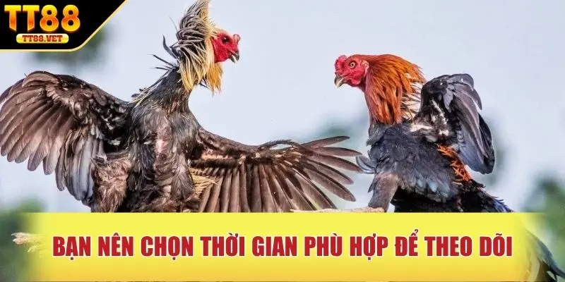 Bạn nên chọn thời gian phù hợp để theo dõi
