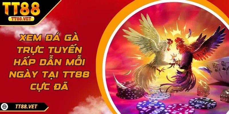 Xem đá gà trựcv tuyến